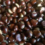 Conosci la differenza tra castagne e marroni?
