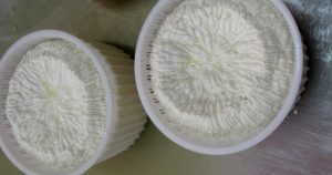 Di capra, di vacca, di pecora o di bufala, i 5 formaggi italiani più buoni (almeno per Famelici!) 1 i 5 formaggi italiani più buoni: primosale