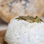 Di capra, di vacca, di pecora o di bufala, i 5 formaggi italiani più buoni (almeno per Famelici!) 4 i 5 formaggi italiani più buoni