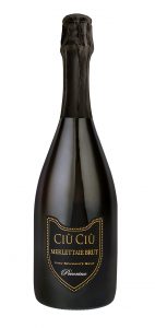 Le 5 bollicine italiane per brindare a un Natale foodcultural! 1 Le 5 bollicine italiane per brindare a un Natale foodcultural!