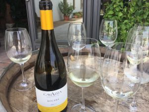 8 vini per festeggiare Natale e Capodanno: Cavazza