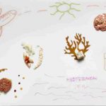 Il Moro a Monza trasforma la cucina della tradizione siciliana in proposta gourmet 8 Il Moro a Monza