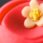 dolci giapponesi: wagashi ph Flavio Gallozzi