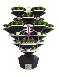 aeroponica, automazione, Sistemi di agricoltura verticale