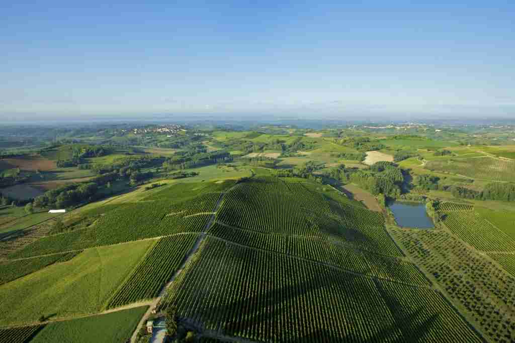 Come riciclare gli scarti del vino