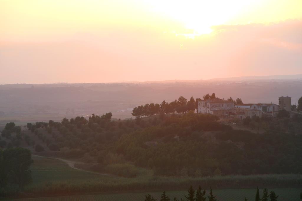 C'è un'altra Puglia: l'Alta Murgia, ovvero cibo e cultura 73 C'è un'altra Puglia: l'Alta Murgia, soggiornando in un Country Resort Borgo Villa Rita