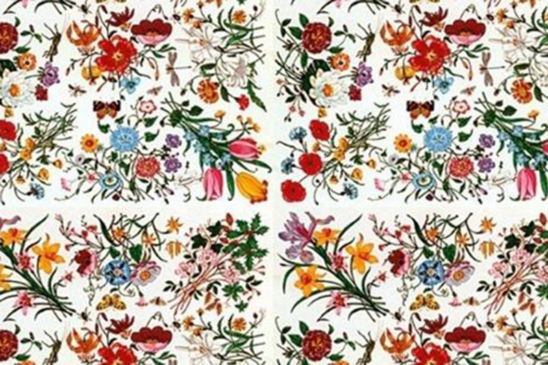 Flora, ristorante di natura e di design