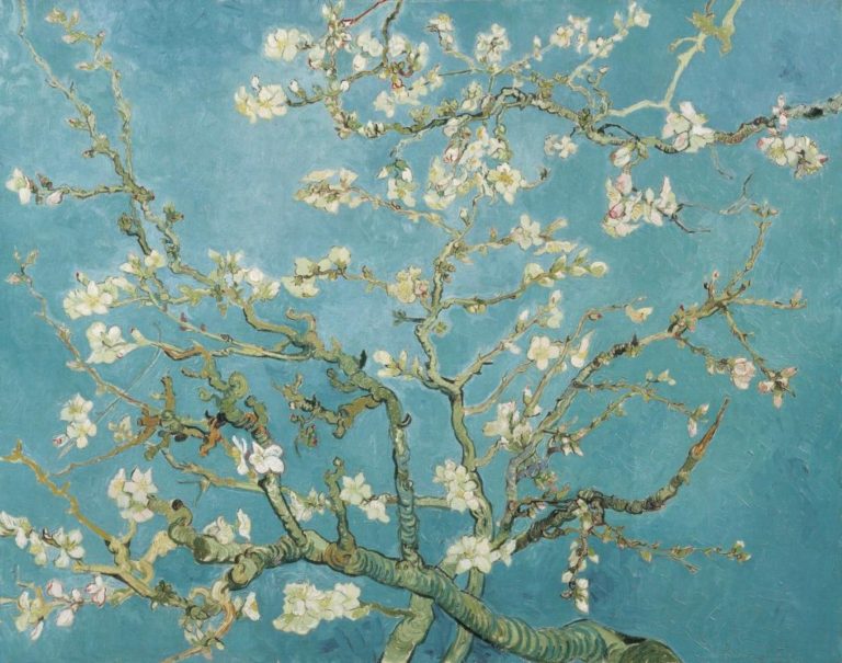 Dizionario primaverile, l'ABC famelico 18 dizionario primaverile famelico:: ramo di mandorlo in fiore di Van Gogh