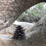 Estate in Gallura: viaggio gourmet nel Nord della Sardegna 5 Gallura 5 sensi