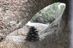 Gallura 5 sensi