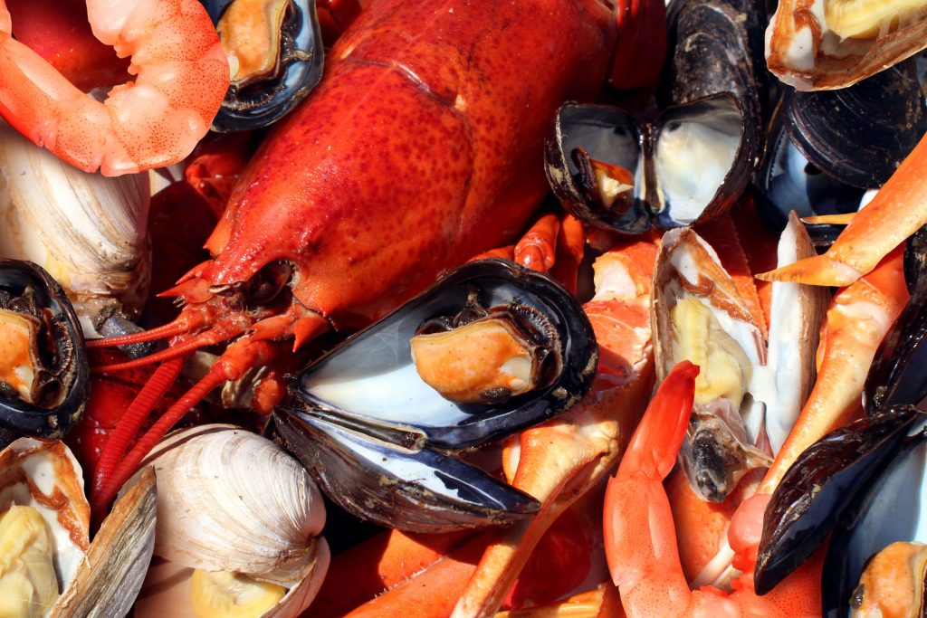 Pesce fresco: come si prepara un piatto unico completo 1 Piatto unico: conosci la differenza tra aragosta, astice e scampo?