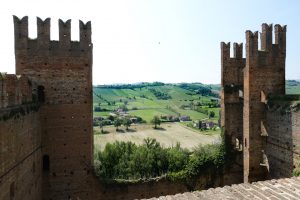 Gutturnio, il rosso dei colli piacentini