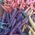 Le città scopritele al mercato in nome di cibo e cultura 14 Le città? Scopritele al mercato