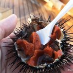 Estate in Gallura: viaggio gourmet nel Nord della Sardegna 17 Mauro, il guardiano del faro