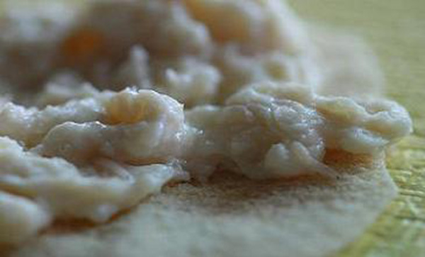 Dieci domande foodcultural dal Piacentino 8 Piacentino formaggio vermi