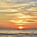 Destruction of the sea: rischiamo di perdere il gusto del pesce 12 perdere il gusto del pesce causa inquinamento dei mari.
