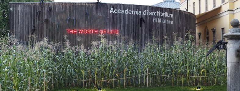The Worth of Life, Koen Vanmechelen