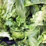 Come conservare fresca l'insalata in frigorifero 10 Come conservare fresca l'insalata