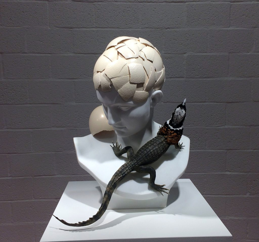 The Worth of Life, Koen Vanmechelen