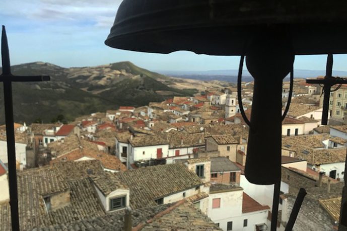 bovino6 e1606780178612