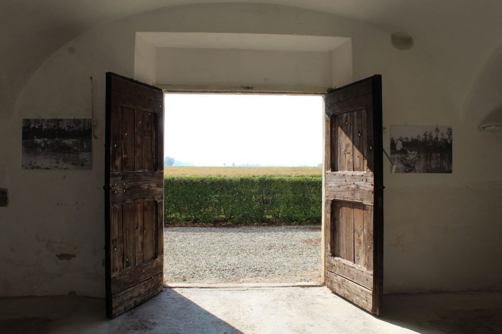 Una giornata presso Cascina Grampa per scoprire la cultura del riso 1 cultura del riso: cascina grampa