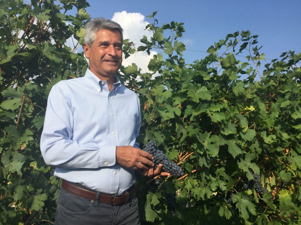 Wine Tourism: alla scoperta della Valpolicella e dell'Amarone 2 alla scoperta della Valpolicella e dell'Amarone: cantina valpantena
