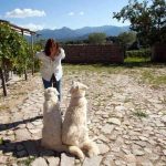 Femina Agabbadòra: tutti i motivi per andare al Museo Galluras 16 Femina Agabbadòra: tenuta muscazega