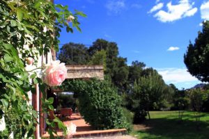femina aggabadora: tenuta muscazega