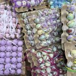 Cibo e cultura: la storia e le leggende legate all'uovo di Pasqua 9 la storia e le leggende legate all'uovo di Pasqua