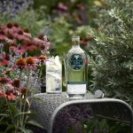 gin and tonic day