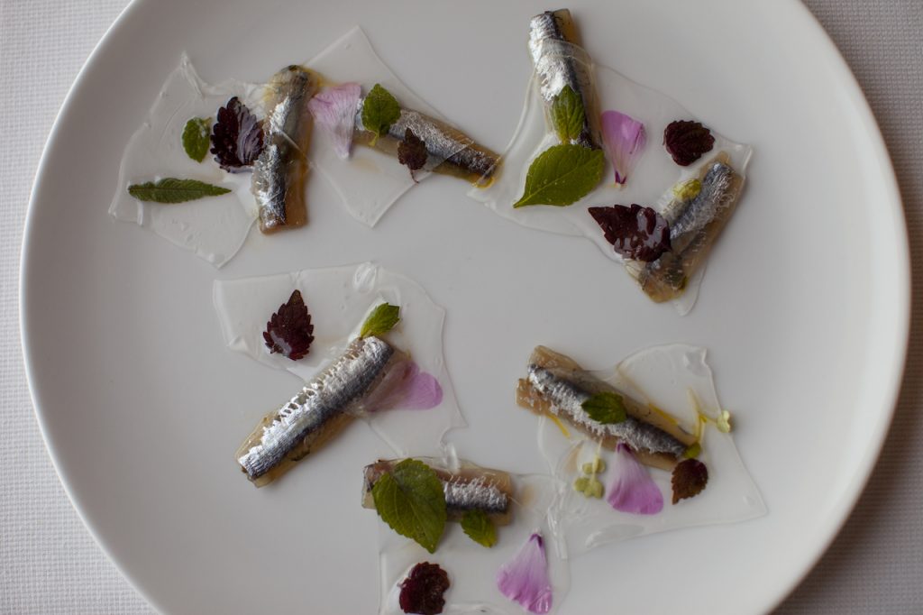 Alici, pesto, carpione, erbette: ristorante osticcio