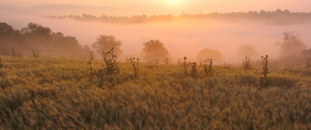 visioni di Toscana _ alba a La Maliosa