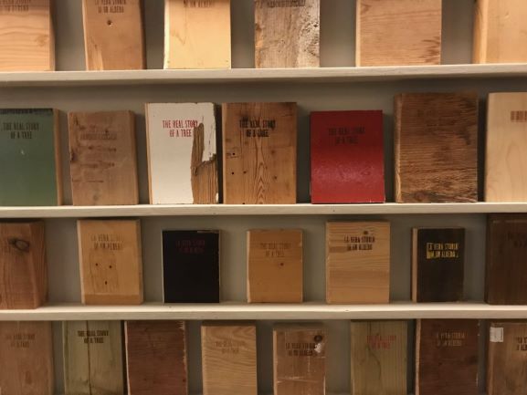 visioni toscana i libri di castelfalfi