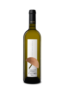 5 grandi vini bianchi italiani da comprare on line 3 grandi vini italiani da comprare on line: pecorino abruzzese