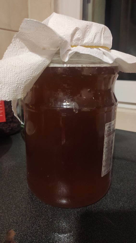 Kombucha: superfood o bevanda che promette miracoli? 2 kombucha fa bene