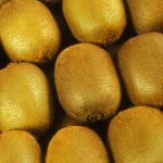 Kiwi verdi e gialli: quali scegliere, come conservarli? 11 Kiwi verdi e gialli: come sceglierli, le differenze, come conservarli