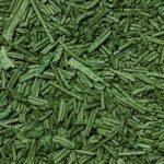 I benefici della spirulina ma anche qualche controindicazione