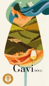 gavi vino terra cortese