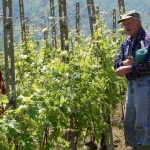 Giornata Mondiale della Terra: parliamo di cibo e ambiente 13 Giornata Mondiale della Terra parliamo di cibo e ambiente