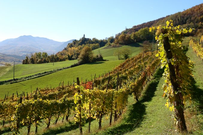 Cool List National Geographic: Emilia Romagna e Pompei tra 30 mete da visitare 1 colli piacentini wine lovers: itinerario per scoprire vini e cantine