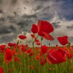 Scavallando nel benessere: 4 mete per 4 regioni 21 Scavallando nel benessere 4 mete per 4 regioni alla ricerca del relax. 4 strutture recettive da sogno