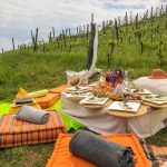 Langhe e Monferrato in nome di 2 vini sorprendenti: Asti Spumante e Moscato d'Asti 18 langhe e monferrato: itinerario per un week end in nome del vino e della cultura