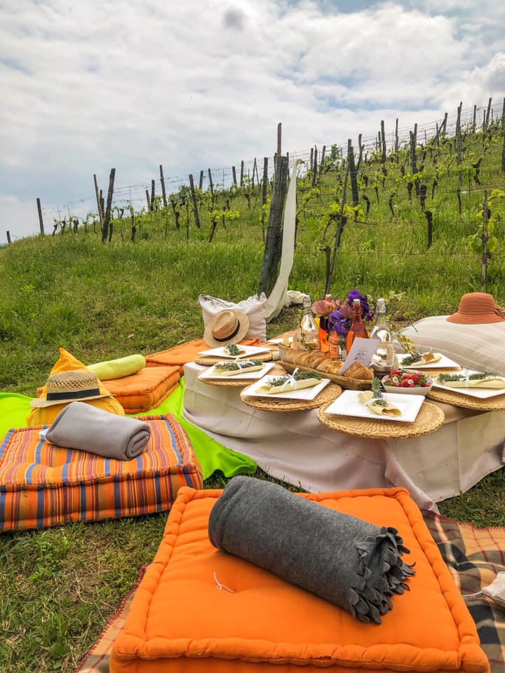 langhe e monferrato: itinerario per un week end in nome del vino e della cultura