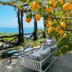 La ricetta e la storia del limoncello, un liquore identitario 9 la ricetta e la storia del limoncello