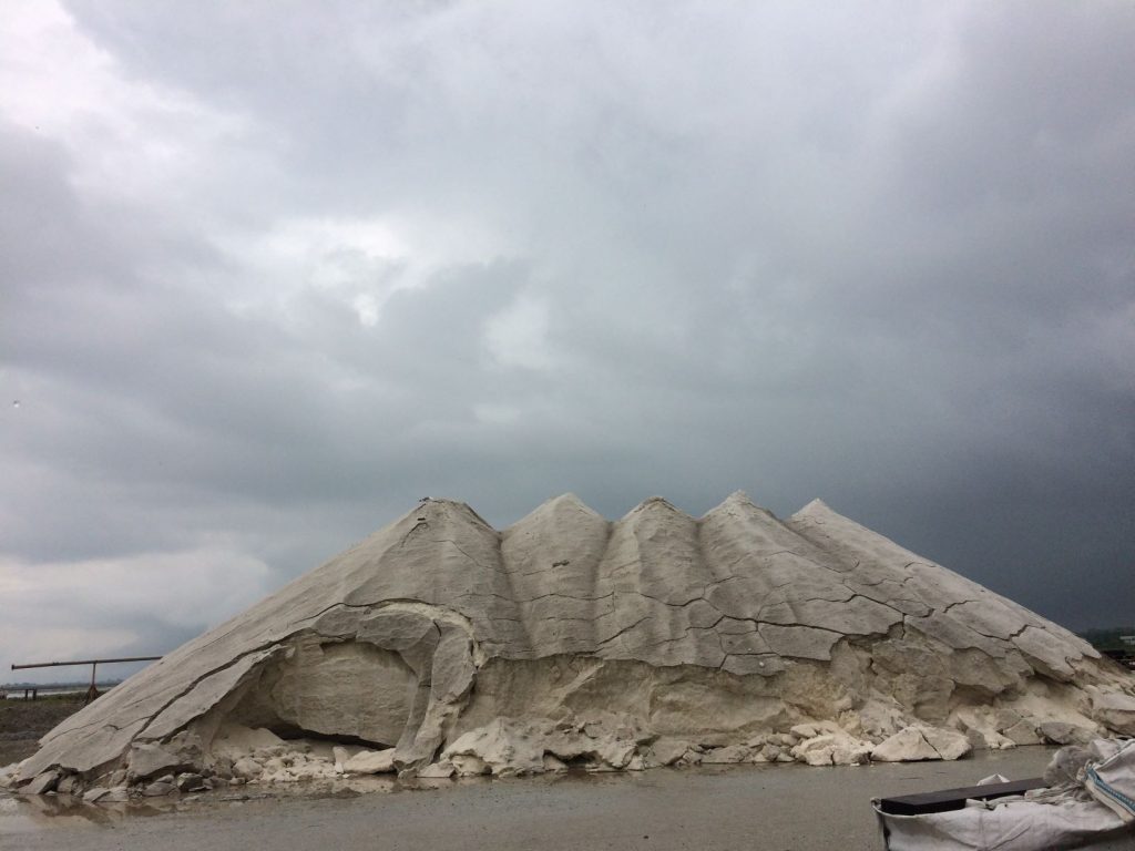 Cibo, cultura, viaggi: 10 prodotti tipici per 10 località 9 saline cervia