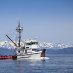 pesca sostenibile settore ittico in crisi