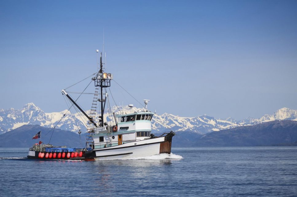pesca sostenibile settore ittico in crisi