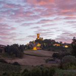 castello di cigognola e il Pinot nero, simbolo dell'Oltrepò pavese