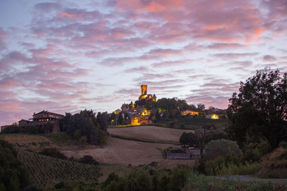 castello di cigognola e il Pinot nero, simbolo dell'Oltrepò pavese