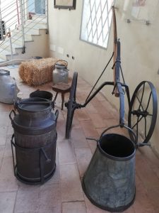 Bassa Parmense tra storia, cibo e cultura 6 bassa-parmense-museo-del-parmigiano-reggiano